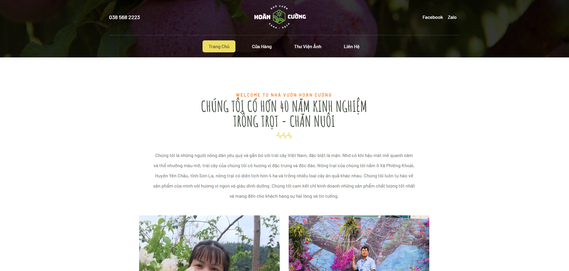 Cây mận nhà tôi